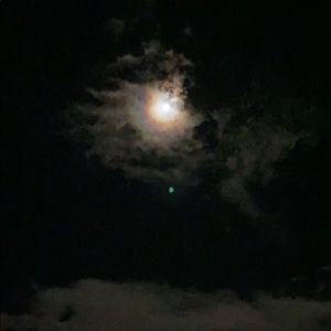 Meet your Posher, Sade